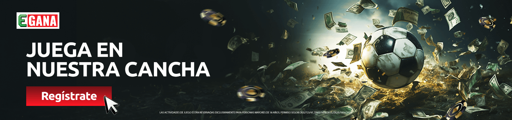banner for promotion